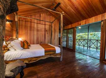 Pepper Trail Tree house bed view 