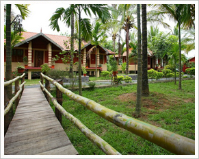 Wayanad Nature Resort, Wayanad, Kerala, India