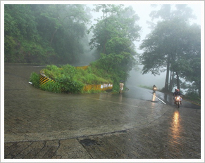 Wayanad Nature Resort, Wayanad, Kerala, India